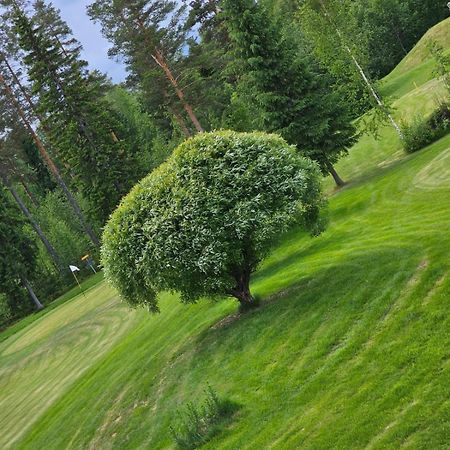 Kesaeaitat Hotel Ähtäri Екстериор снимка