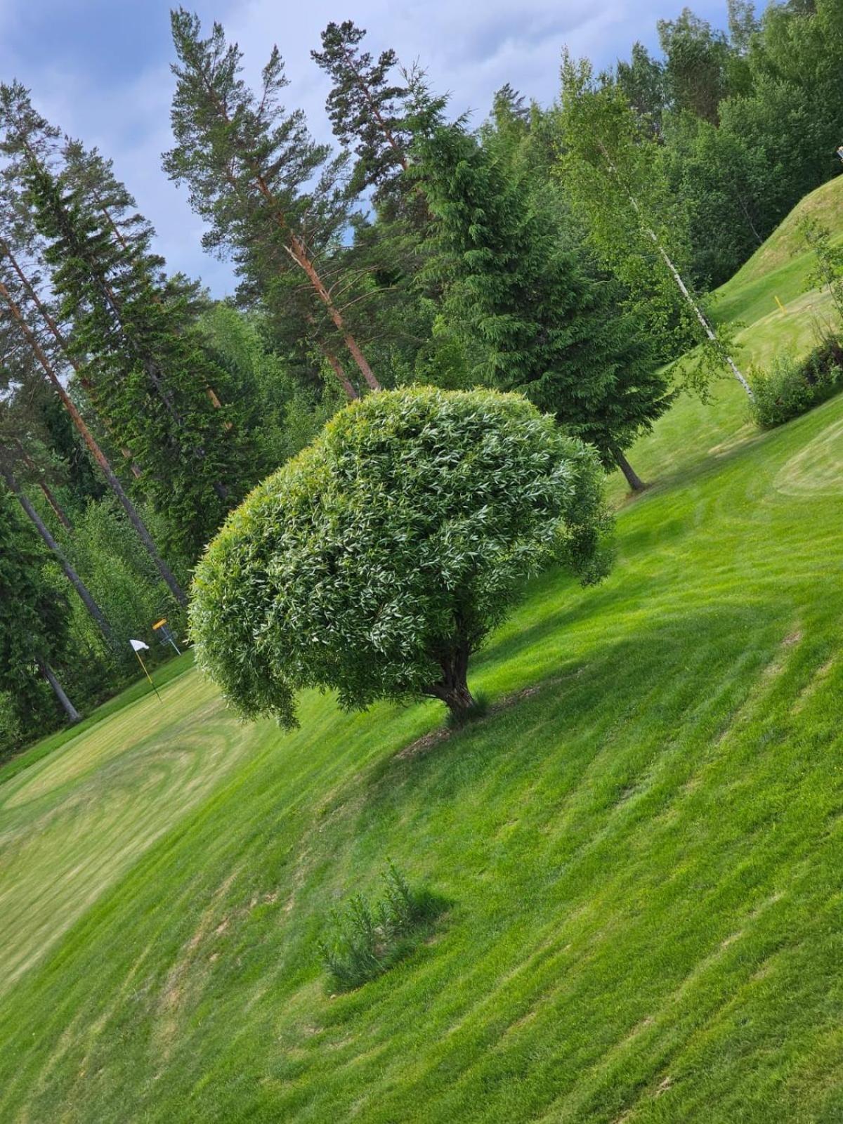 Kesaeaitat Hotel Ähtäri Екстериор снимка